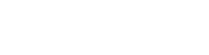 Bellwether Acquisitions Inc Logo